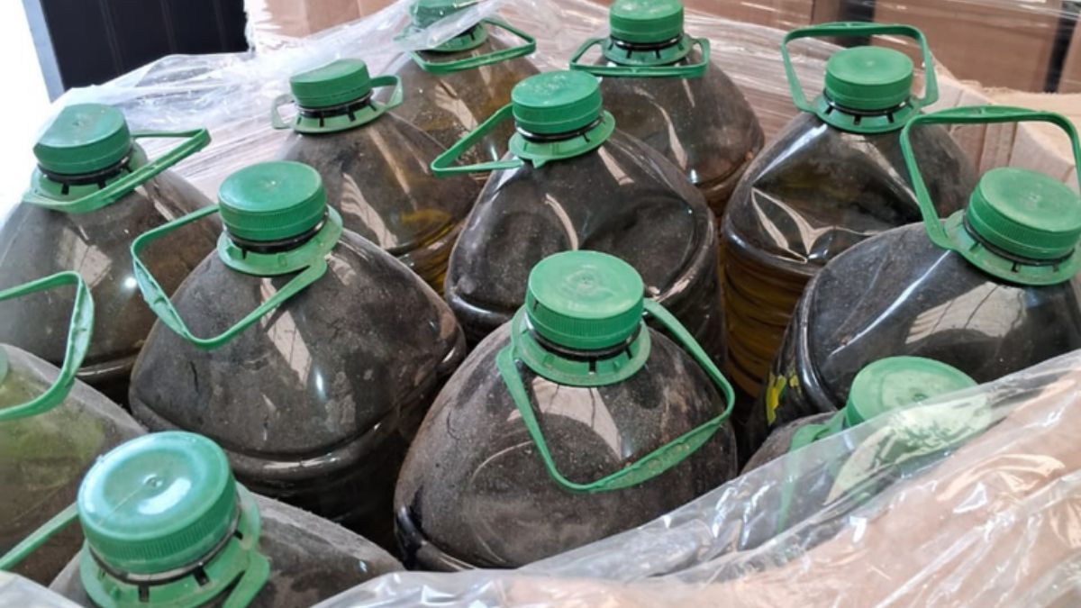 Fraude do azeite: lote adulterado ganha “nova vida” como biocombustível