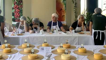 Queijo artesanais em concurso