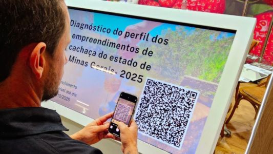 Painel de diagnóstico do perfil dos empreendimentos de cachaça