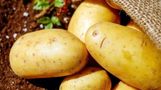 Batata-inglesa
