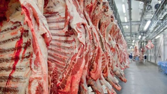 Carne bovina em frigorífico