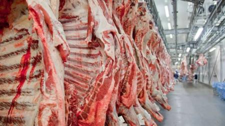 Carne bovina em frigorífico