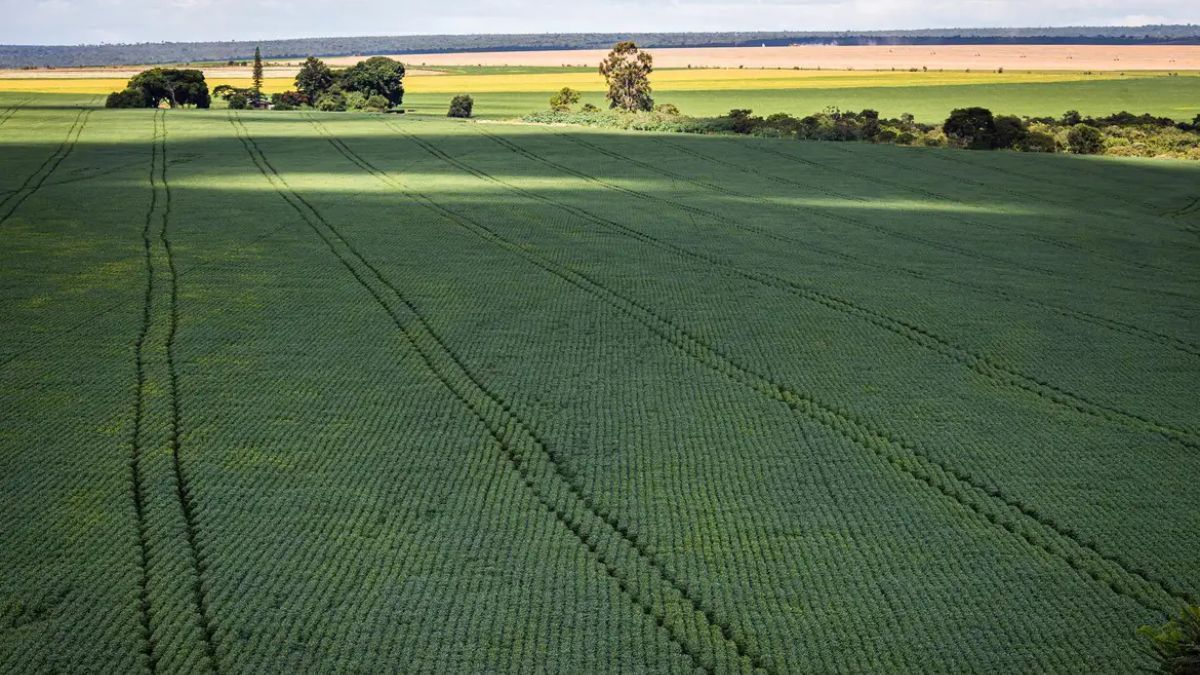 Agronegócio quer se apresentar na COP30 como parte da solução climática