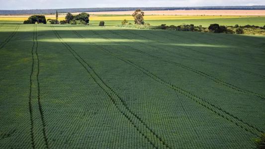 Campo arado