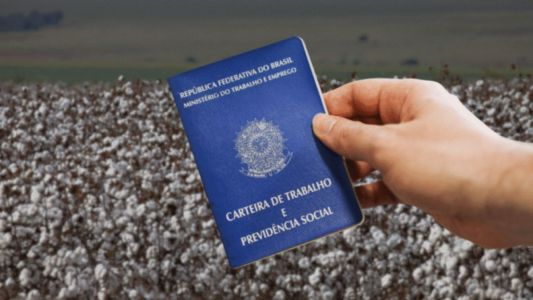 Carteira de trabalho com fundo de campo