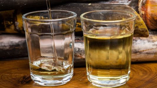 Dois copos com cachaça