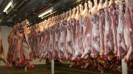 Carne bovina