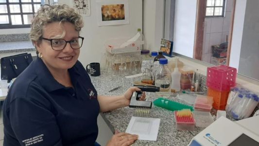 pesquisadora Keila Roncato