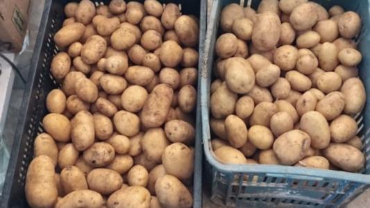 Caixas com batata-inglesa