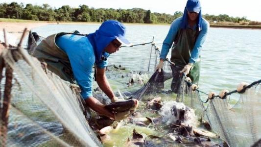 Piscicultores