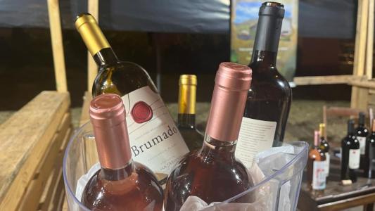 Vinhos da vinícola Alma Mineira, no Festival Uai Wine