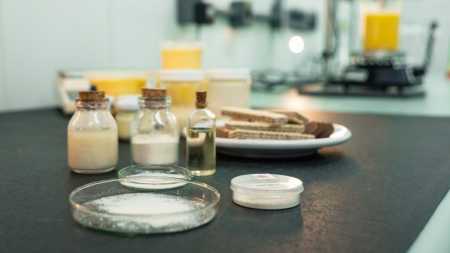 Pesquisadora é premiada por tecnologia que reduz gordura saturada em alimentos