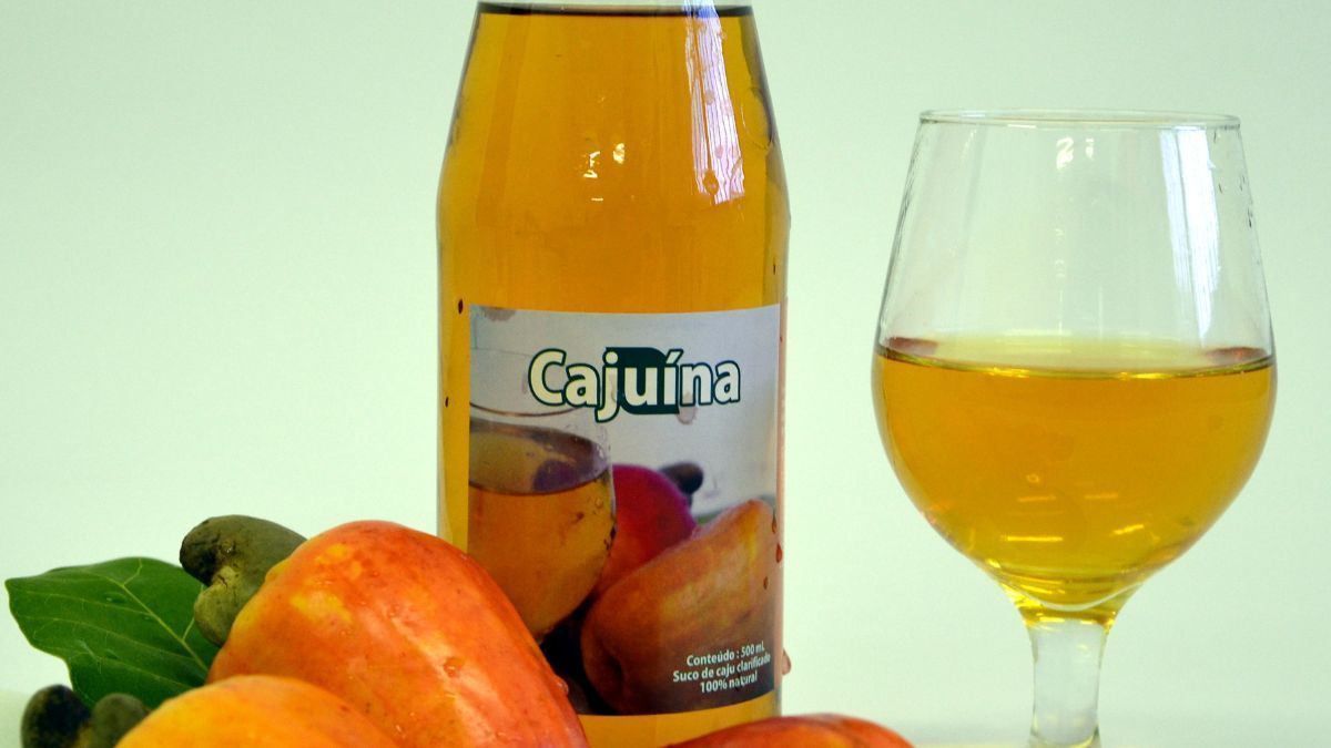 Instituições discutem registro da cajuína como patrimônio cultural
