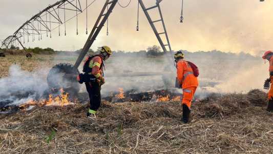 Fogo no campo: Noroeste de Minas ganha reforço dos bombeiros para proteger lavouras