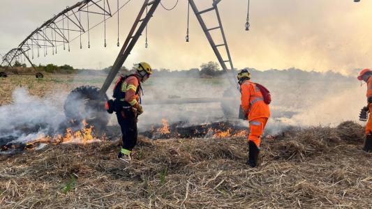 Fogo no campo: Noroeste de Minas ganha reforço dos bombeiros para proteger lavouras