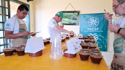 Concurso 'Cuesta Paulista' valoriza cafés especiais de Pardinho e região