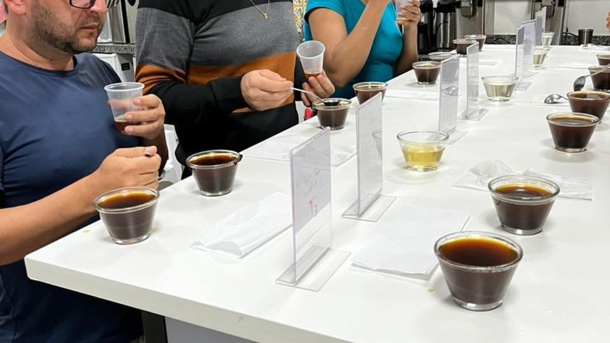 Fábrica mineira promove curso gratuito de classificação e degustação de cafés em BH