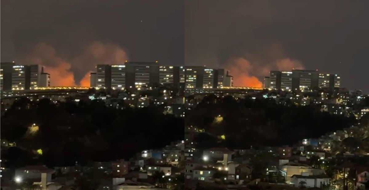 Vídeo: incêndio em mata na Raja Gabaglia, em BH, assusta moradores
