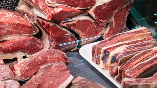 Exportação de carne bovina do Brasil bate recorde em setembro antes do fim do mês