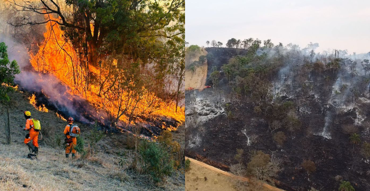 Simões afirma que incêndios em Minas são “questão de polícia”