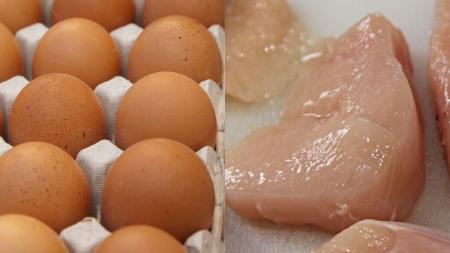 Ovos e carne de frango
