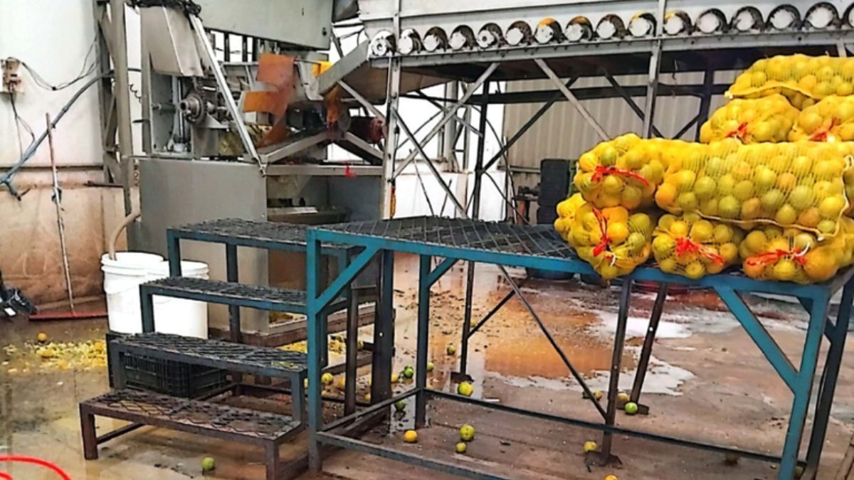 Fábricas de suco são interditadas por condições sanitárias e falta de registro do Mapa em SP