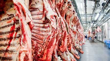 Carnes
