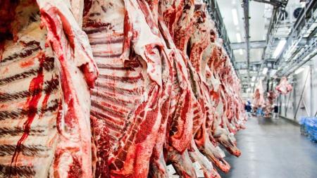 Carnes