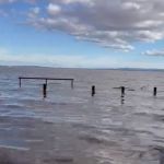 Acima da cota atual de inundação, nível do Guaíba chega a 3,77 metros em Porto Alegre