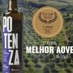 Azeite brasileiro é eleito o melhor do mundo e conquista estrela 'Michelin'