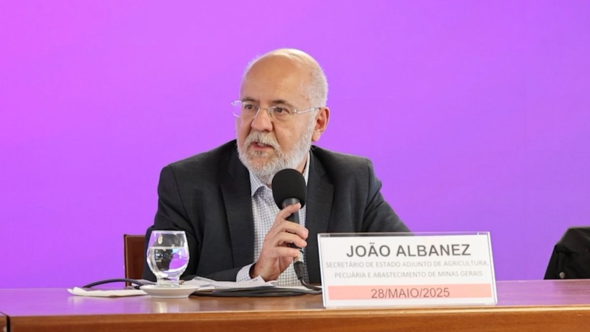 Gripe aviária: impacto nas exportações é pequeno diante da demanda mundial, diz secretário