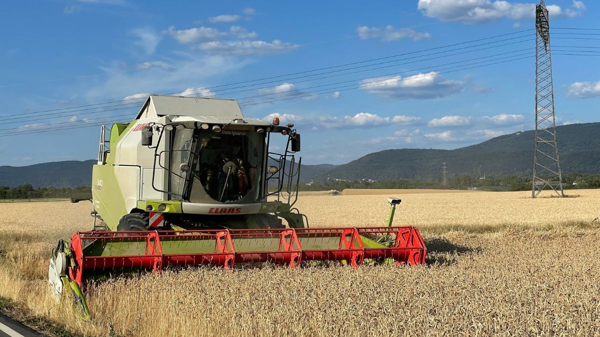 Crescimento da economia é puxado pelo agro no Brasil