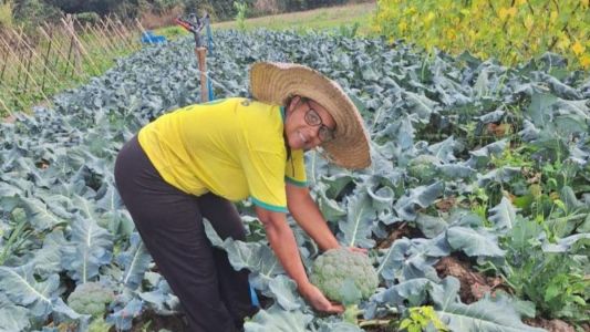 Agricultora Claudenice
