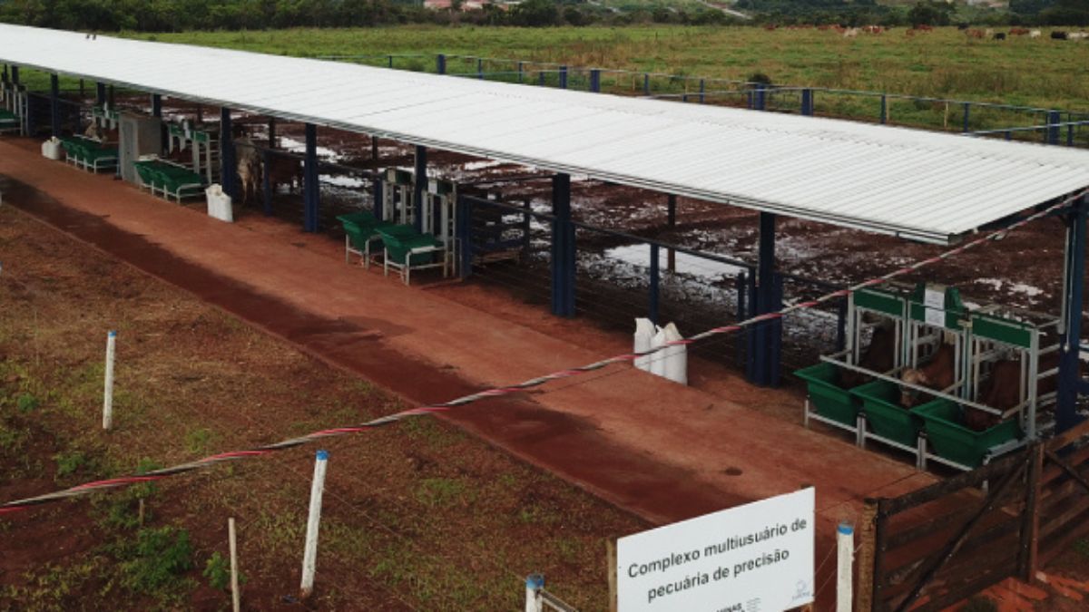 Epamig inaugura Complexos Multiusuários de Bovinocultura e Biotecnologia Vegetal em Uberaba
