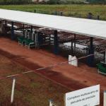 Epamig inaugura Complexos Multiusuários de Bovinocultura e Biotecnologia Vegetal em Uberaba
