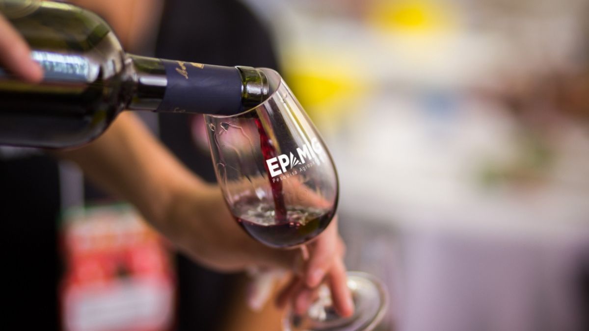 Epamig lidera estudos sobre rastreabilidade e origem geográfica de produtos mineiros