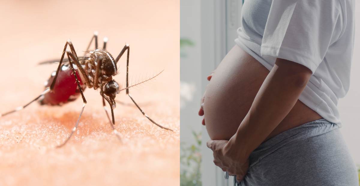 Governo anuncia apoio financeiro de R$ 60 mil a crianças vítimas do vírus da zika