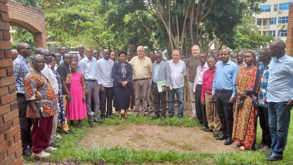 Na África, projeto da UFLA impulsiona a produção de algodão