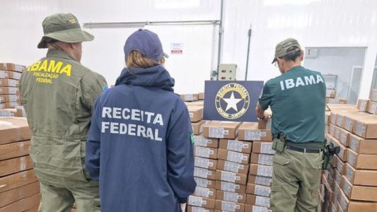 Fraude milionária: Ibama apreende 19 toneladas de ovas de peixe no Ceará