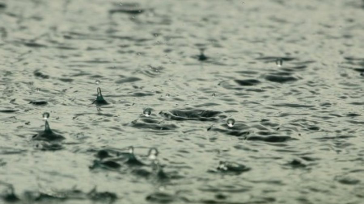 Pesquisa detecta agrotóxicos na chuva em três cidades paulistas