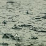 Pesquisa detecta agrotóxicos na chuva em três cidades paulistas
