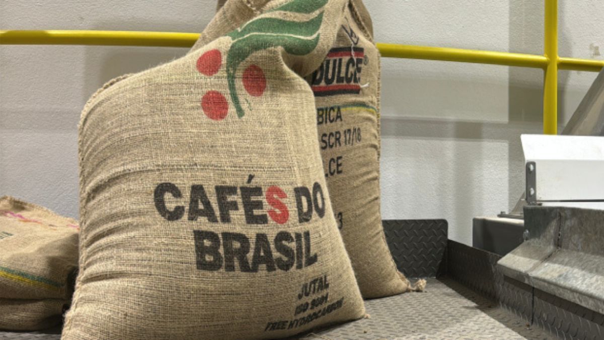 Exportadores de café têm prejuízo de R$ 5,9 milhões com carga não embarcada em agosto