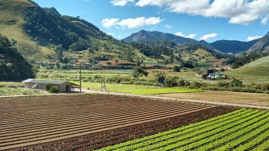 Pesquisa busca soluções para o futuro da agropecuária na Mata Atlântica
