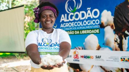 Projeto 'Algodão da Liberdade' rende primeira colheita em comunidade quilombola no MA