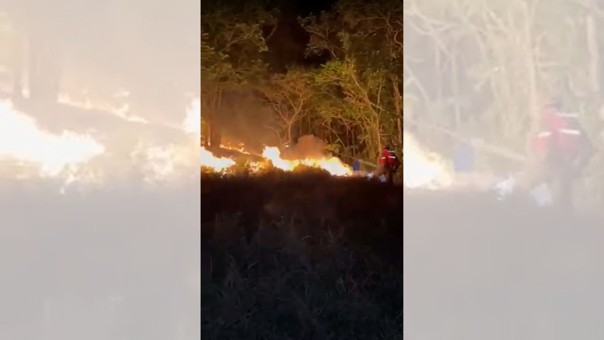 Com parques fechados a visitação, Rio de Janeiro registra mais de 16 mil incêndios florestais em 2024