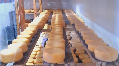 Queijo Minas Artesanal
