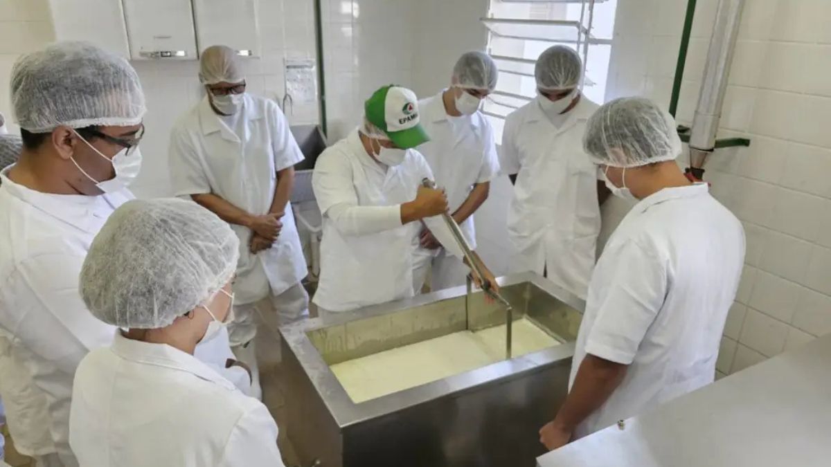 Qualileite estreia com foco na qualidade do leite e boas práticas agropecuárias em Juiz de Fora