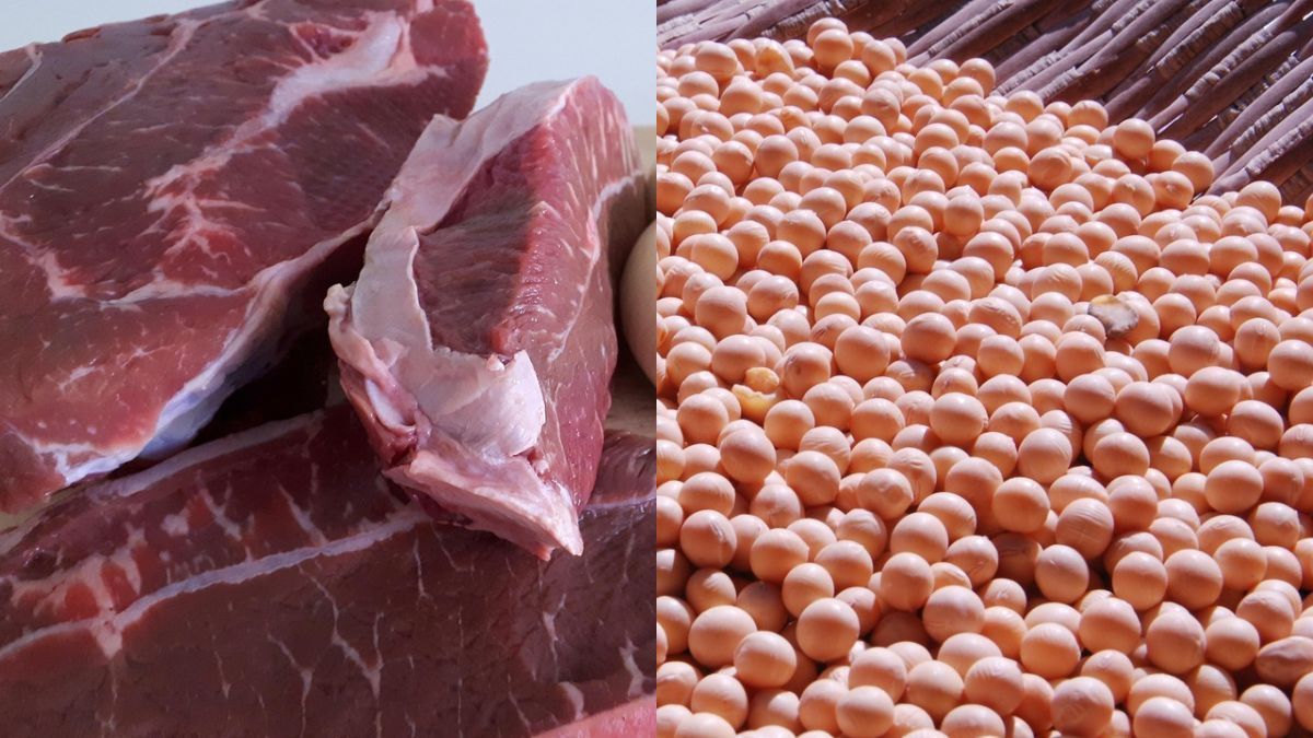 Agro brasileiro atinge marca histórica: produção chega a R$ 1,4 trilhão em agosto