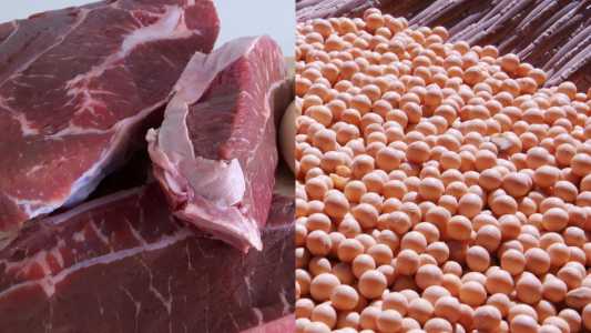Carne bovina e soja são destaques