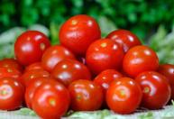 Para melhorar os tomates, não os tempere apenas com sal e azeite